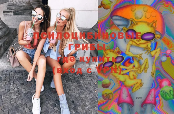 2c-b Михайлов