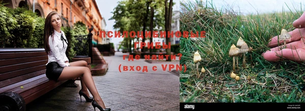 2c-b Михайлов
